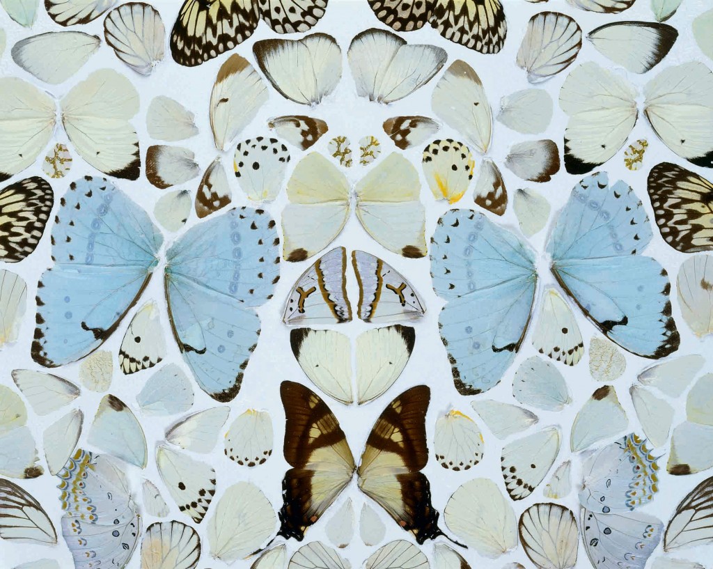 damien hirst farfalle